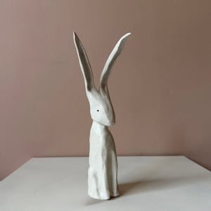 Image of Long Ear Hare F