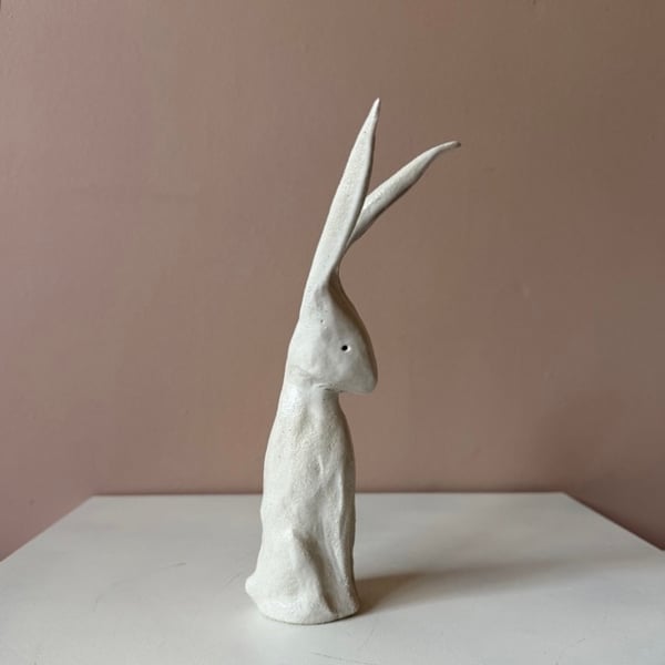 Image of Long Ear Hare F