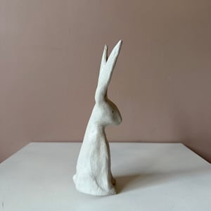 Image of Long Ear Hare D