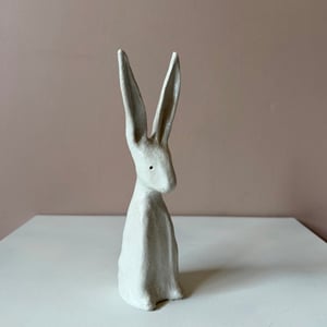 Image of Long Ear Hare D