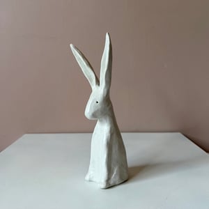 Image of Long Ear Hare D