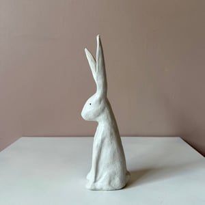 Image of Long Ear Hare D