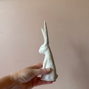 Image of Long Ear Hare D