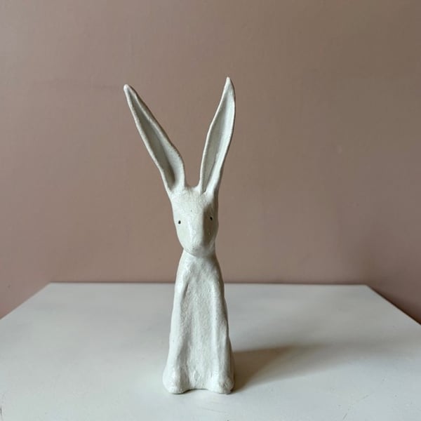 Image of Long Ear Hare D