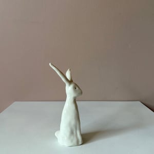 Image of Long Ear Hare J