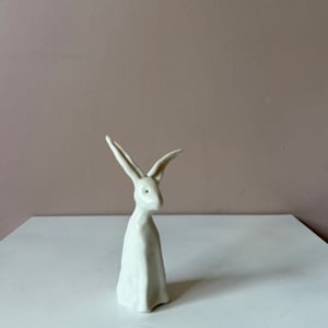 Image of Long Ear Hare J