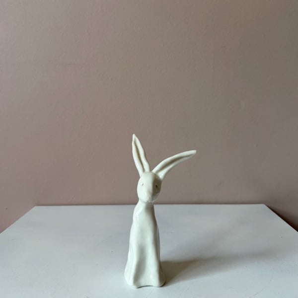 Image of Long Ear Hare J