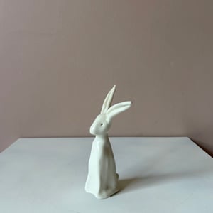 Image of Long Ear Hare J