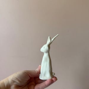 Image of Long Ear Hare J