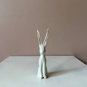 Image of Long Ear Hare A