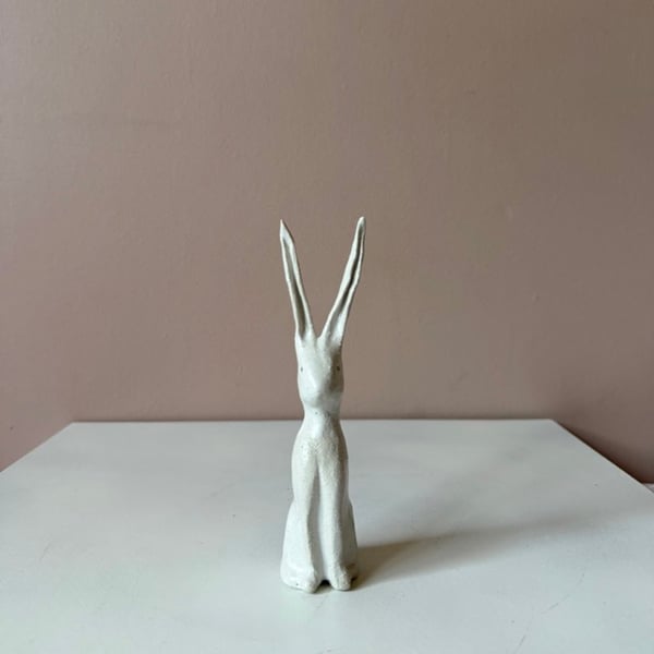 Image of Long Ear Hare A