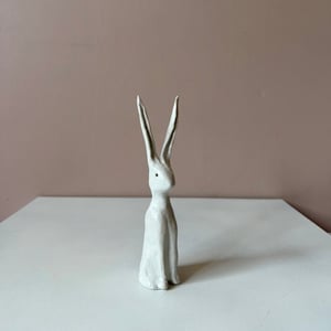 Image of Long Ear Hare A