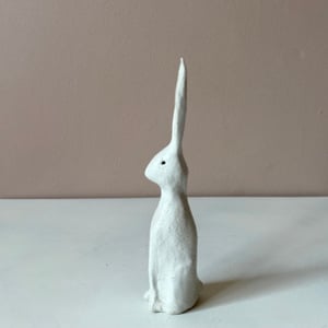 Image of Long Ear Hare A