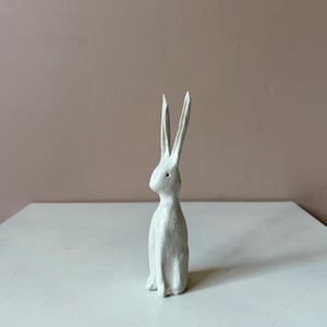 Image of Long Ear Hare A