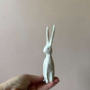 Image of Long Ear Hare A