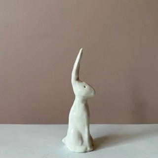 Image of Long Ear Hare i