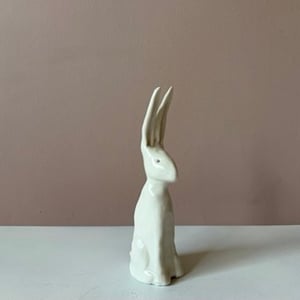 Image of Long Ear Hare i