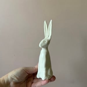 Image of Long Ear Hare i