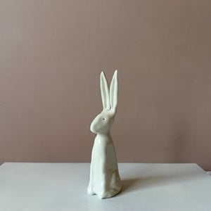 Image of Long Ear Hare i