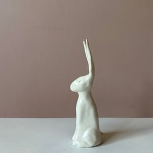 Image of Long Ear Hare i