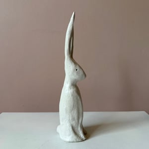 Image of Long Ear Hare H