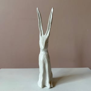 Image of Long Ear Hare H