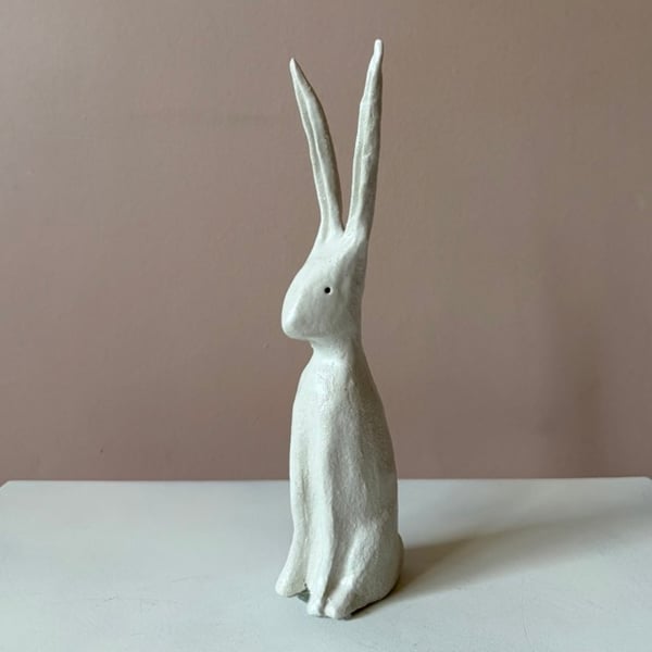 Image of Long Ear Hare H