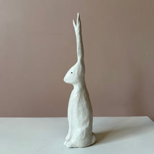 Image of Long Ear Hare H