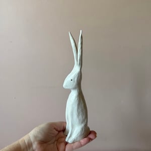 Image of Long Ear Hare H