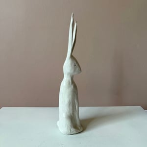 Image of Long Ear Hare G