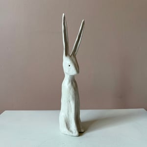 Image of Long Ear Hare G