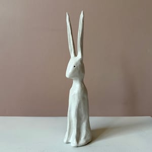Image of Long Ear Hare G