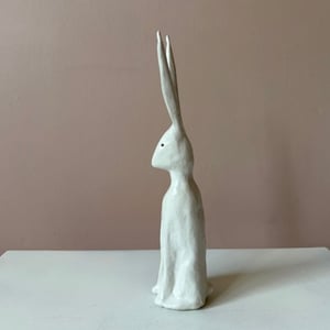 Image of Long Ear Hare G