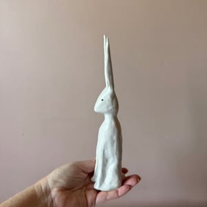 Image of Long Ear Hare G