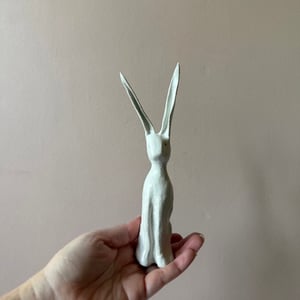 Image of Long Ear Hare C