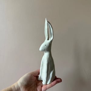 Image of Long Ear Hare E