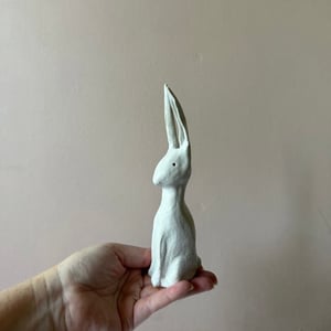 Image of Long Ear Hare B