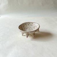 Image 1 of Spikey Trinket Dish - Cookies