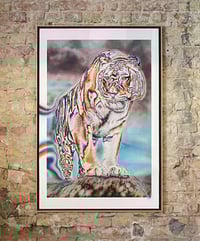 from the 'Wildlyfe' show: 'Amur'