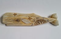 Image 2 of Small Sperm Whale - Bev