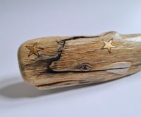 Image 3 of Small Sperm Whale - Red (freestanding)