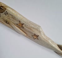 Image 5 of Small Sperm Whale - Sebastian 