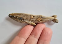 Image 1 of Tiny Humpback Whale - Coco