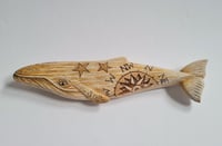 Image 2 of Small Humpack Whale - Molly