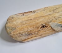 Image 6 of Medium Sperm Whale - Beryl