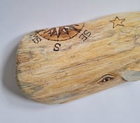 Image 5 of Medium Sperm Whale - Beryl