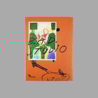 Image 2 of [STOLEN BOOKS™] 2021 (BRÁULIO AMADO*)