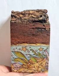 Image 2 of Tidepool - pyrography block 