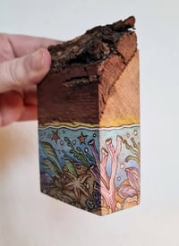Image 4 of Tidepool - pyrography block 