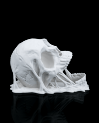 Image 17 of 🎲🔥 Legendary 3D Printed Dice Tower Collection